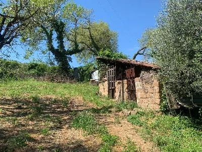 Rustico/Casale in vendita a Graffignano - foto 3
