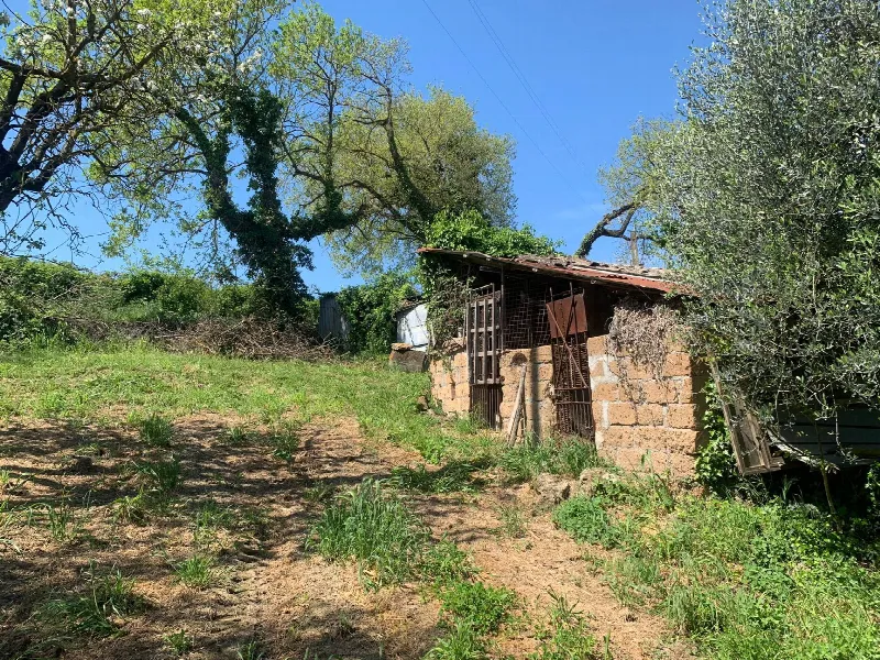 Rustico/Casale in vendita a Graffignano - foto 3