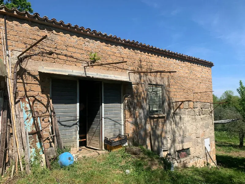 Rustico/Casale in vendita a Graffignano - foto 7