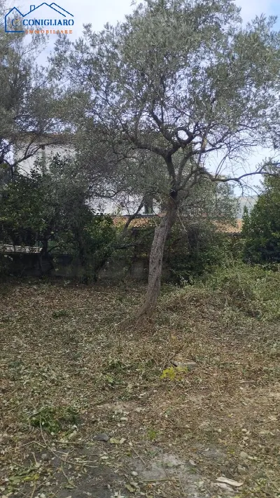 Rustico/Casale in vendita a Torretta - foto 2