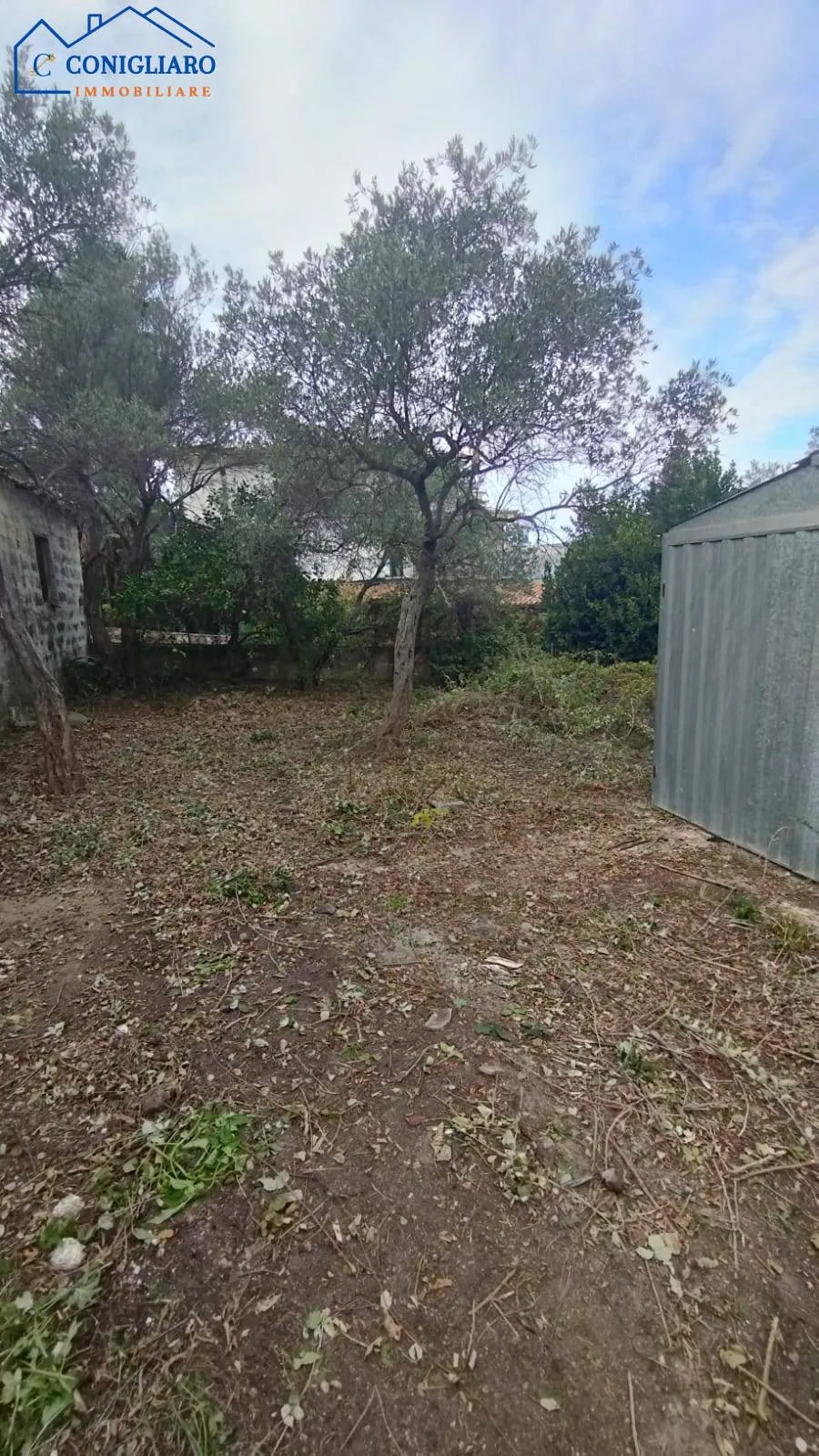 Rustico/Casale in vendita a Torretta - foto 3