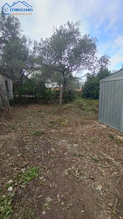 Rustico/Casale in vendita a Torretta - foto 3