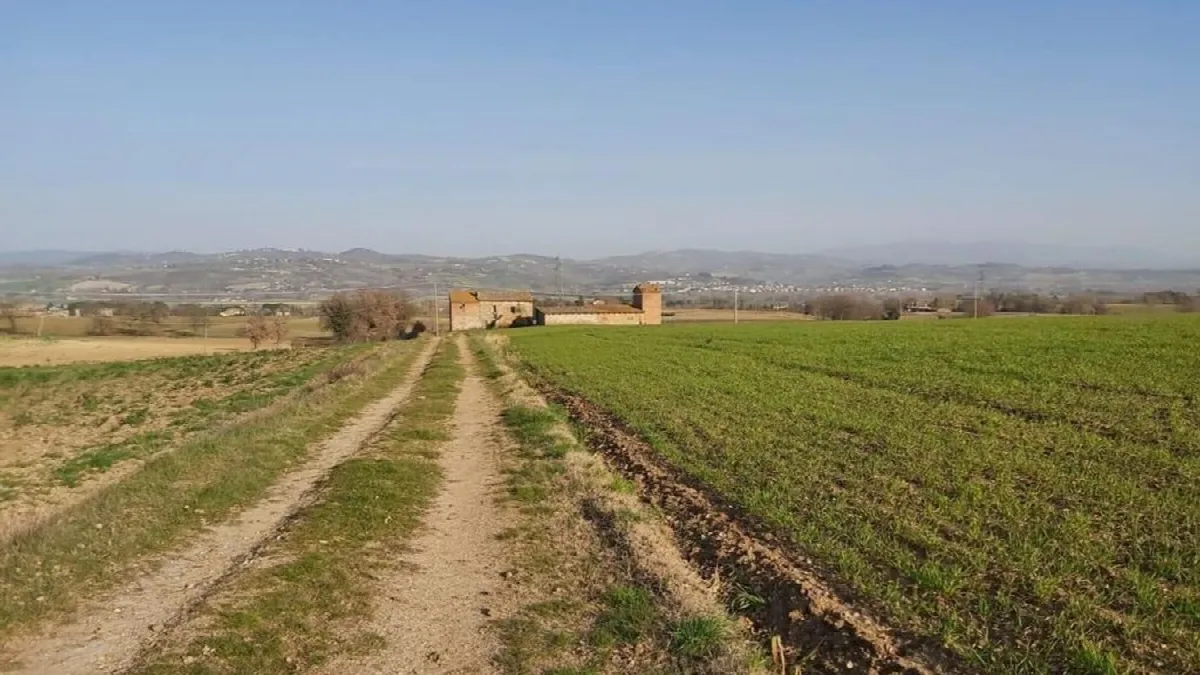Rustico/Casale in vendita a Fratta Todina - foto 3