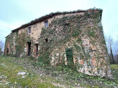 Rustico/Casale in vendita a San Venanzo - foto 3