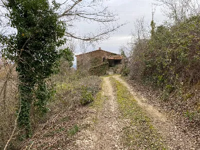 Rustico/Casale in vendita a San Venanzo - foto 9