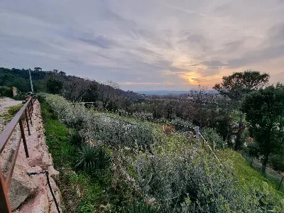 Villa in vendita a Torgiano - foto 10