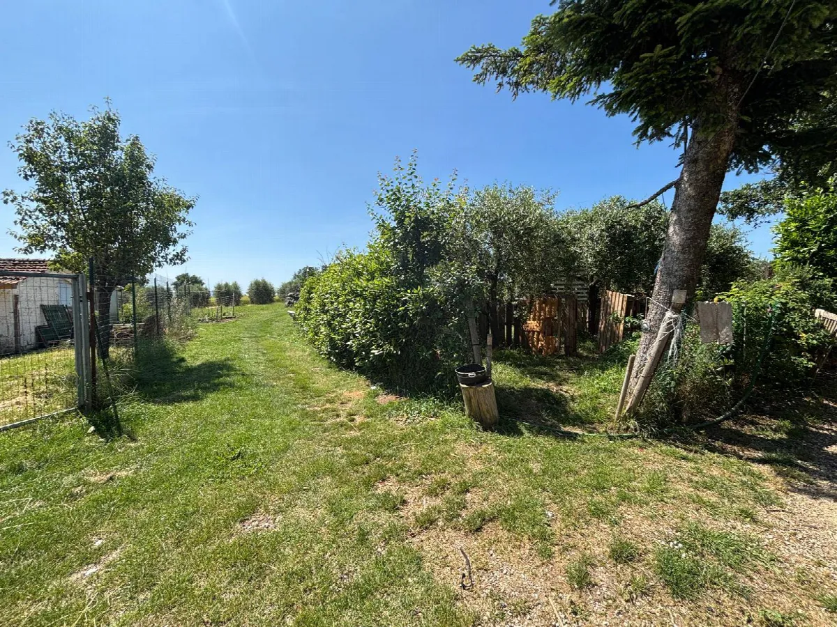 Casa Indipendente in vendita a Fratta Todina - foto 3