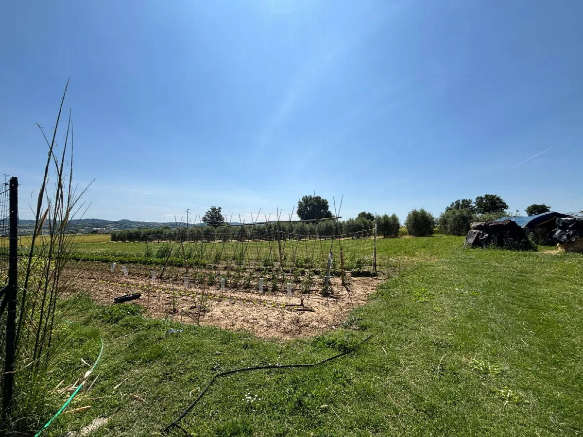 Casa Indipendente in vendita a Fratta Todina - foto 4
