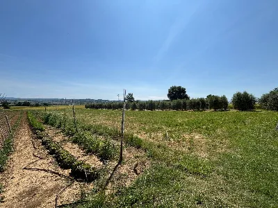 Casa Indipendente in vendita a Fratta Todi... - foto 6