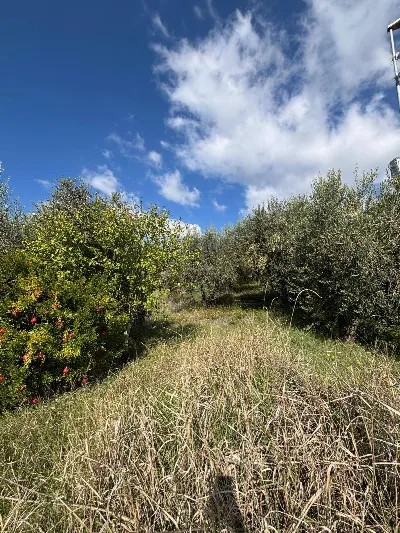 Casa Indipendente in vendita a Fratta Todi... - foto 6