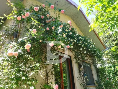 Villa in vendita a Pescara, Colli, Ospedal... - foto 9
