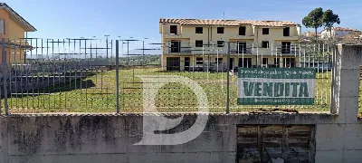 Rustico/Casale in vendita a Collecorvino - foto 2