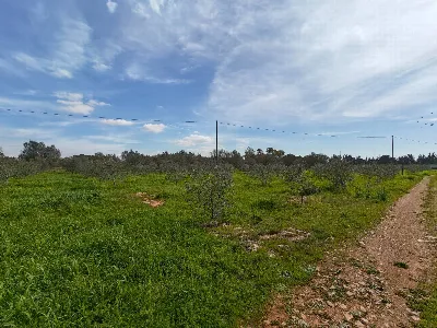 Villa in vendita a Sannicola - foto 10
