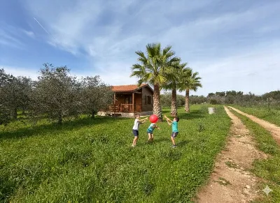 Villa in vendita a Sannicola - foto 3
