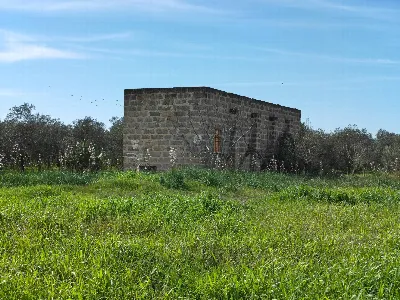 Villa in vendita a Sannicola - foto 6