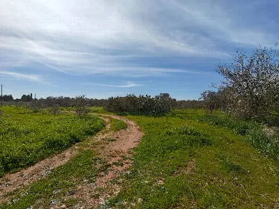 Villa in vendita a Sannicola - foto 8