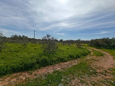 Villa in vendita a Sannicola - foto 9