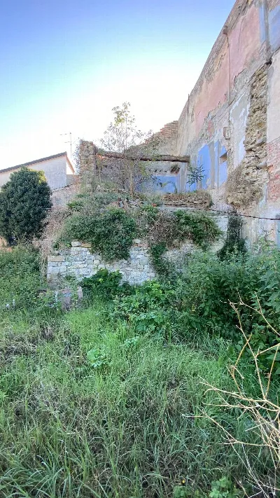 Rustico/Casale in vendita a Felino - foto 10