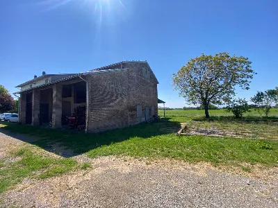 Rustico/Casale in vendita a San Secondo Pa... - foto 3