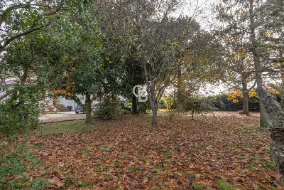 Villa in vendita a Viterbo, Teverina, grot... - foto 9