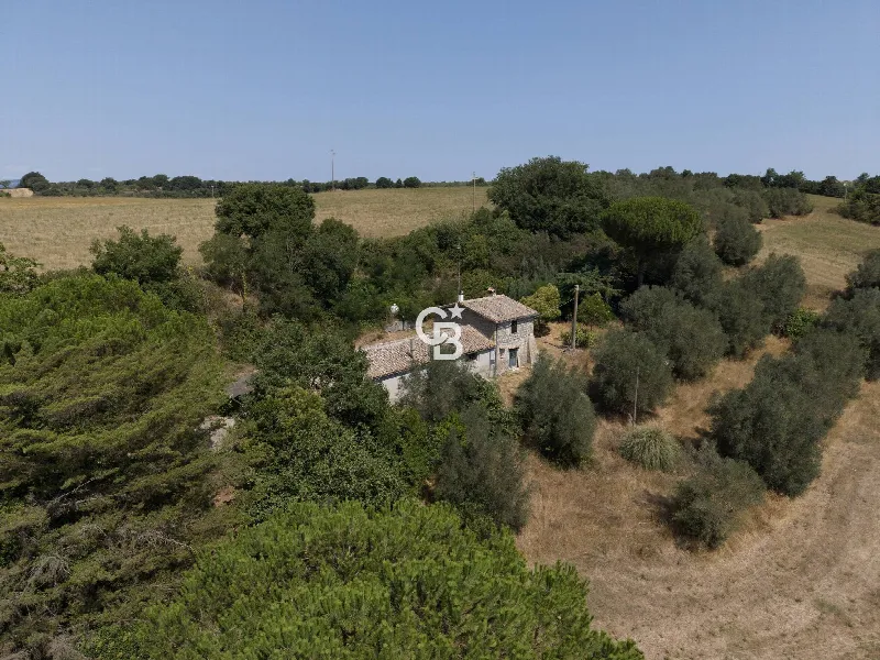 Rustico/Casale in vendita a Viterbo, Monterazzano, Castel D'asso, Tuscanese - foto 1