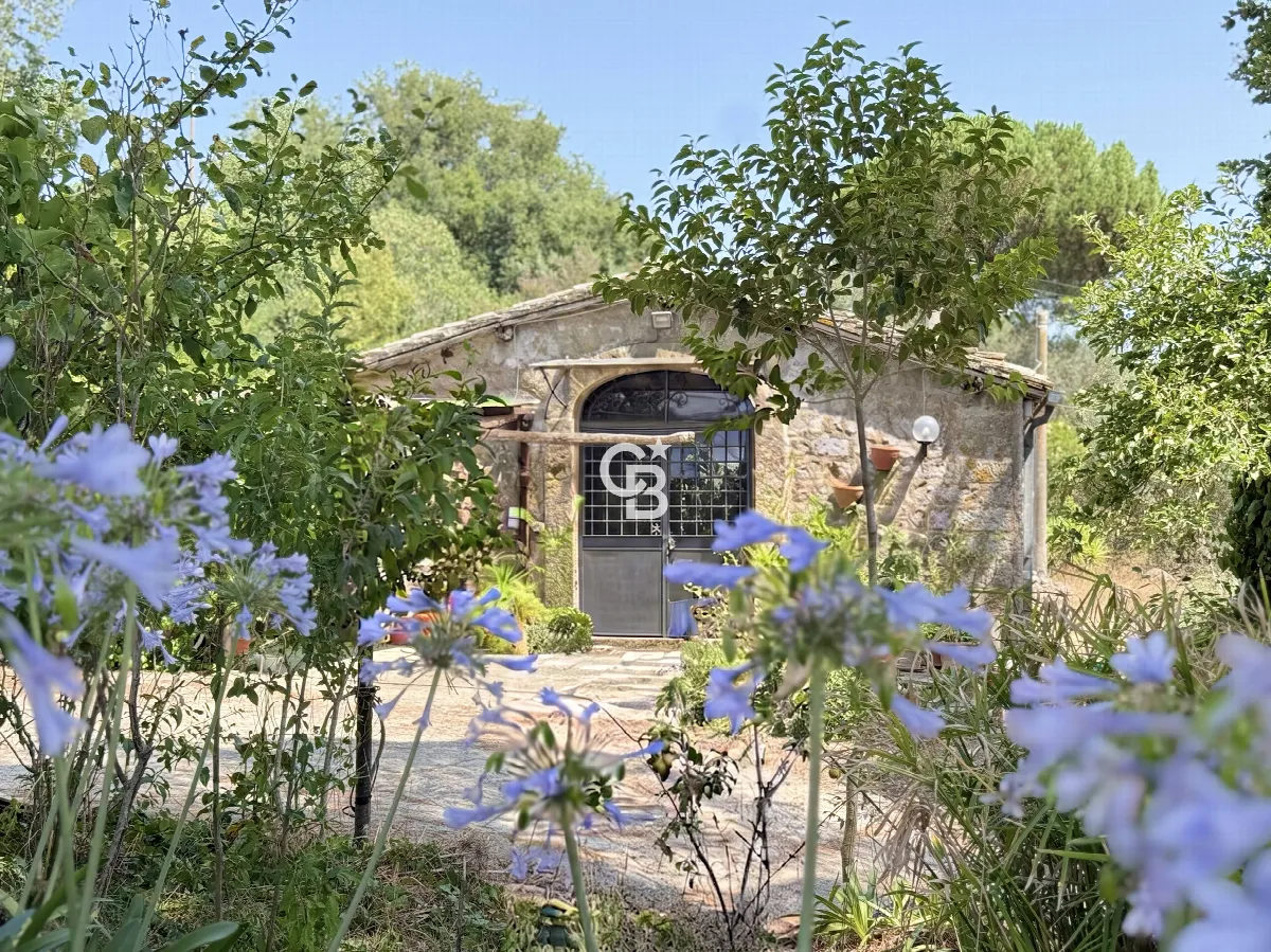 Rustico/Casale in vendita a Viterbo, Monterazzano, Castel D'asso, Tuscanese - foto 3