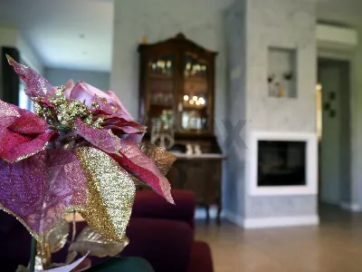 Villa in vendita a Rosignano Marittimo - foto 6