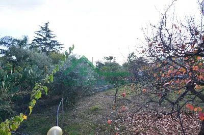 Villa in vendita a Mascalucia - foto 10