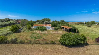Villa in vendita a Montalto di Castro - foto 2