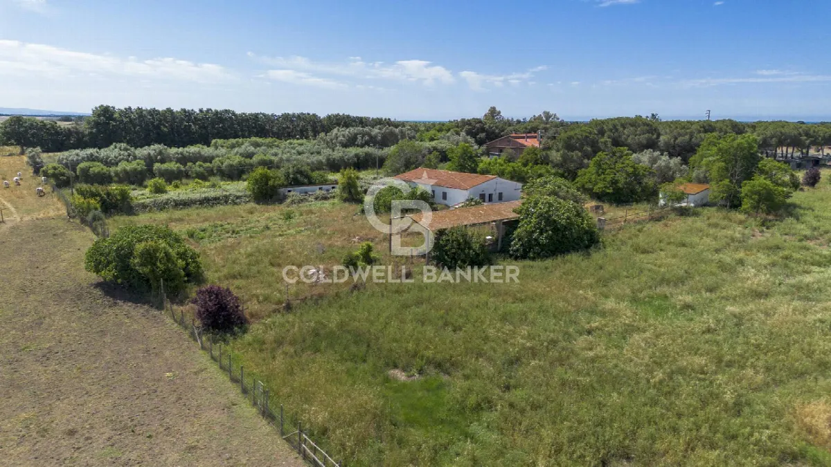 Villa in vendita a Montalto di Castro - foto 3