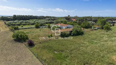 Villa in vendita a Montalto di Castro - foto 3