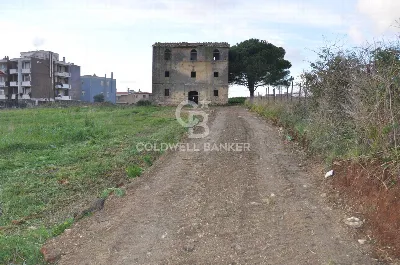 Rustico/Casale in vendita a Tarquinia - foto 6