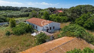 Villa in vendita a Montalto di Castro - foto 3