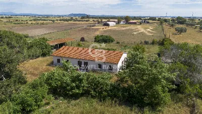 Villa in vendita a Montalto di Castro - foto 4
