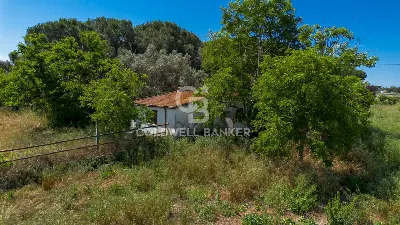 Villa in vendita a Montalto di Castro - foto 4