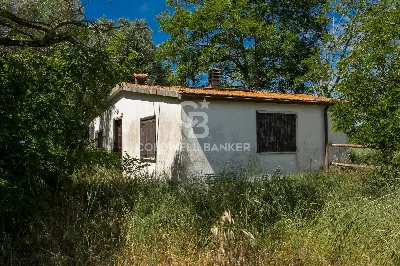 Villa in vendita a Montalto di Castro - foto 5