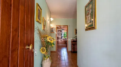 Villa in vendita a Tarquinia - foto 10