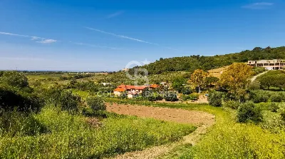 Villa in vendita a Tarquinia - foto 2