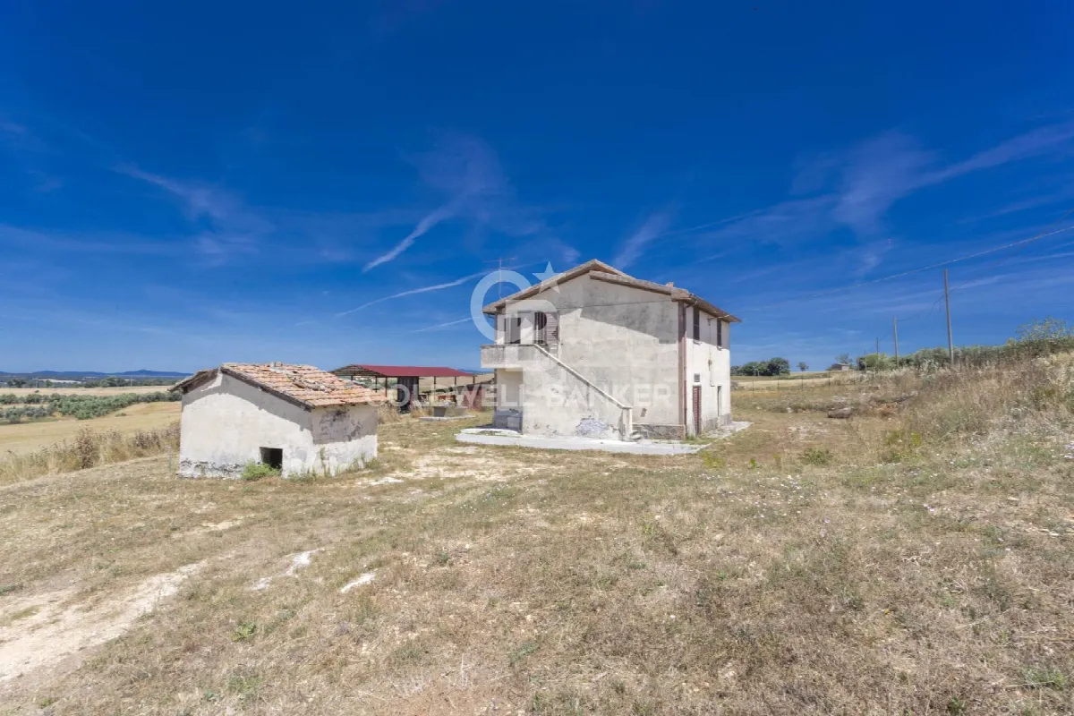 Rustico/Casale in vendita a Tuscania - foto 3