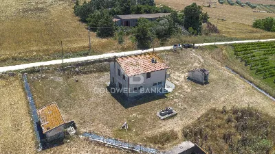 Rustico/Casale in vendita a Tuscania - foto 4