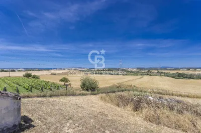 Rustico/Casale in vendita a Tuscania - foto 7