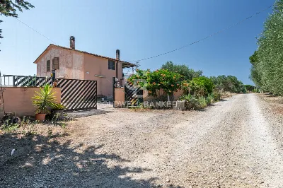 Rustico/Casale in vendita a Tarquinia - foto 1
