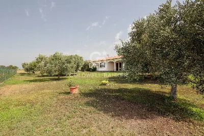 Villa in vendita a Tarquinia - foto 2