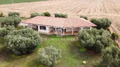 Villa in vendita a Tarquinia - foto 4