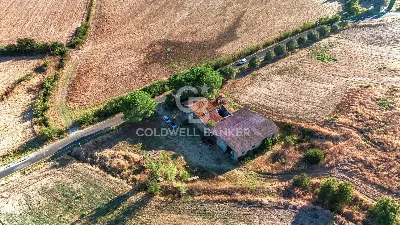 Rustico/Casale in vendita a Tarquinia - foto 3
