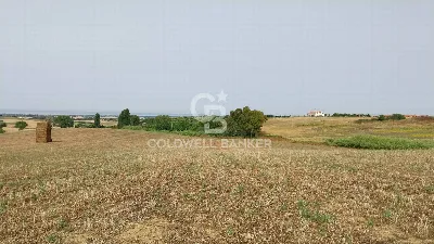 Rustico/Casale in vendita a Tarquinia - foto 5