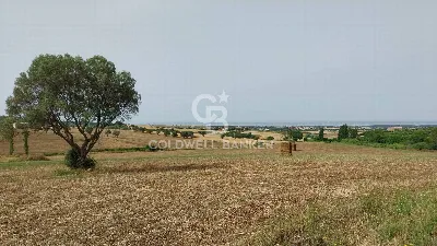 Rustico/Casale in vendita a Tarquinia - foto 6