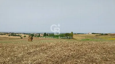 Rustico/Casale in vendita a Tarquinia - foto 7