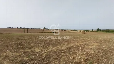 Rustico/Casale in vendita a Tarquinia - foto 8