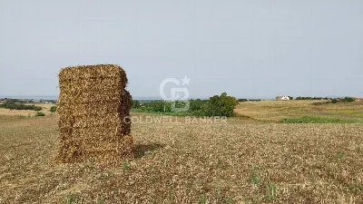 Rustico/Casale in vendita a Tarquinia - foto 9